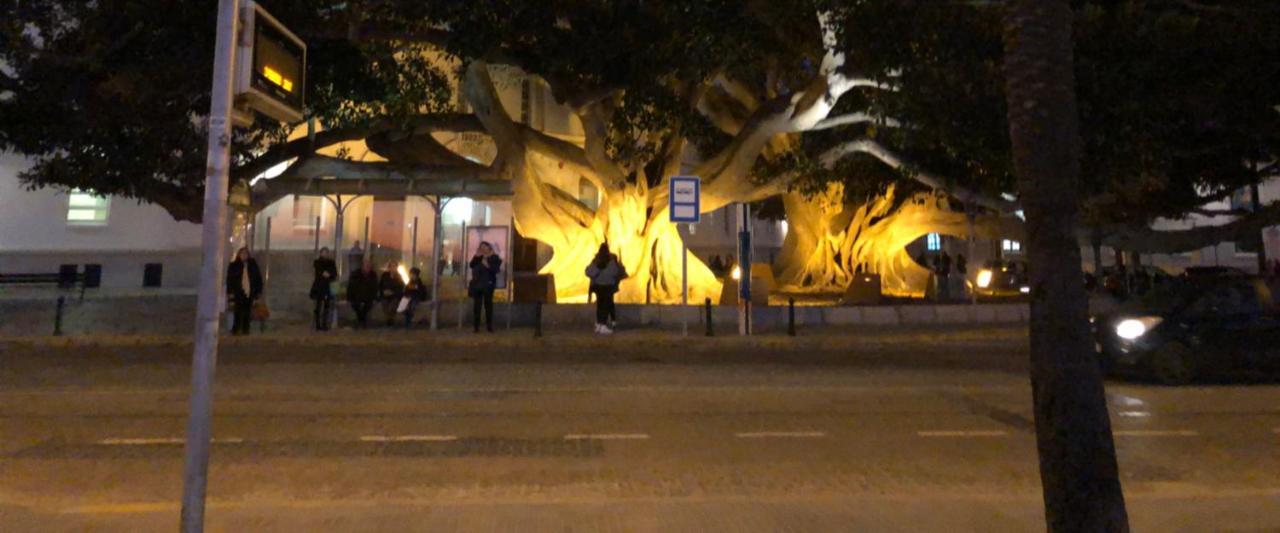 La Puerta Azul En El Corazon De Cadiz 아파트 외부 사진